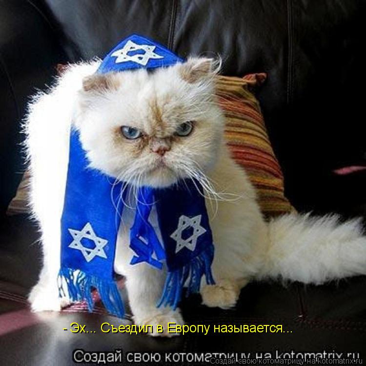 Котоматрица: - Эх... Съездил в Европу называется...