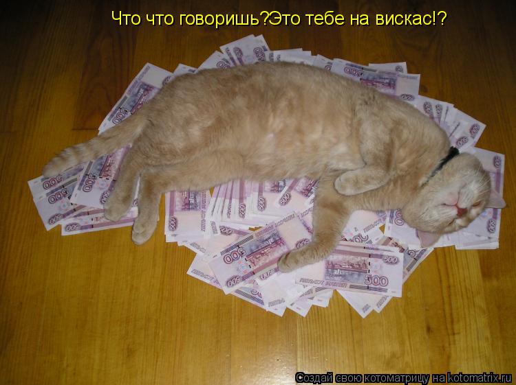 Котоматрица: Что что говоришь?Это тебе на вискас!?