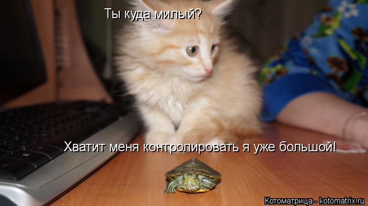 Котоматрица: Ты куда милый? Хватит меня контролировать я уже большой!