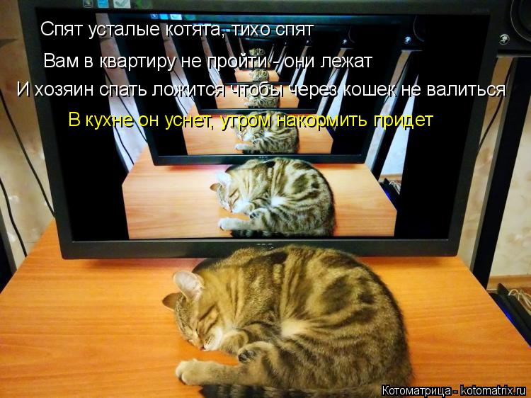 Котоматрица: Спят усталые котята, тихо спят Вам в квартиру не пройти - они лежат И хозяин спать ложится чтобы через кошек не валиться В кухне он уснет, утр