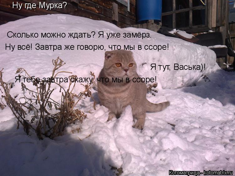 Котоматрица: Ну где Мурка? Сколько можно ждать? Я уже замёрз. Ну всё! Завтра же говорю, что мы в ссоре! Я тут, Васька)! Я тебе завтра скажу, что мы в ссоре!