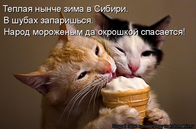 Котоматрица: Теплая нынче зима в Сибири.  В шубах запаришься. Народ мороженым да окрошкой спасается!