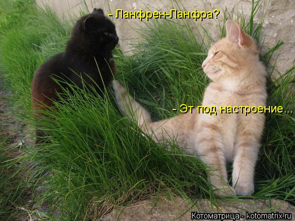 Котоматрица: - Ланфрен-Ланфра? - Эт под настроение...