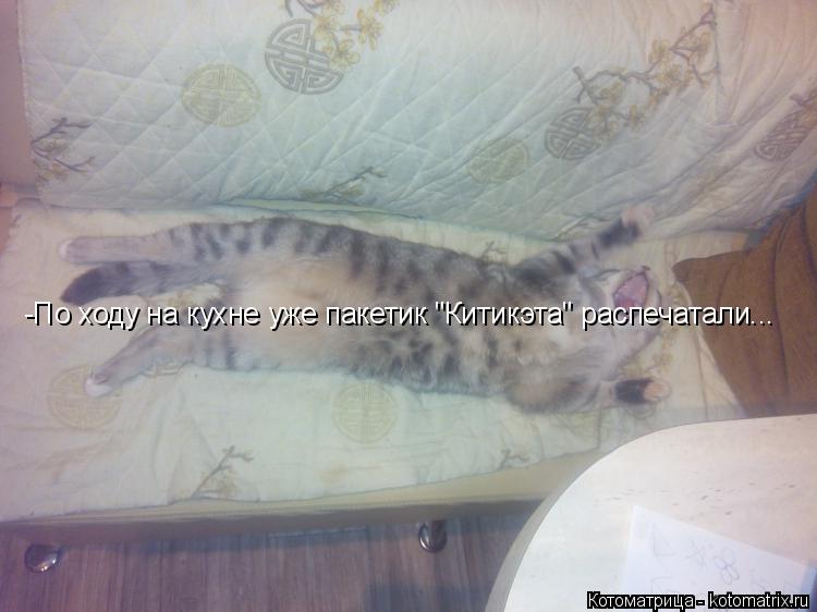 Котоматрица: -По ходу на кухне уже пакетик "Китикэта" распечатали...