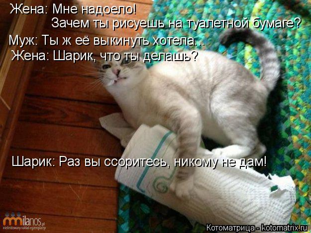Котоматрица: Жена: Мне надоело!  Зачем ты рисуешь на туалетной бумаге? Муж: Ты ж её выкинуть хотела... Жена: Шарик, что ты делашь? Шарик: Раз вы ссоритесь, ник