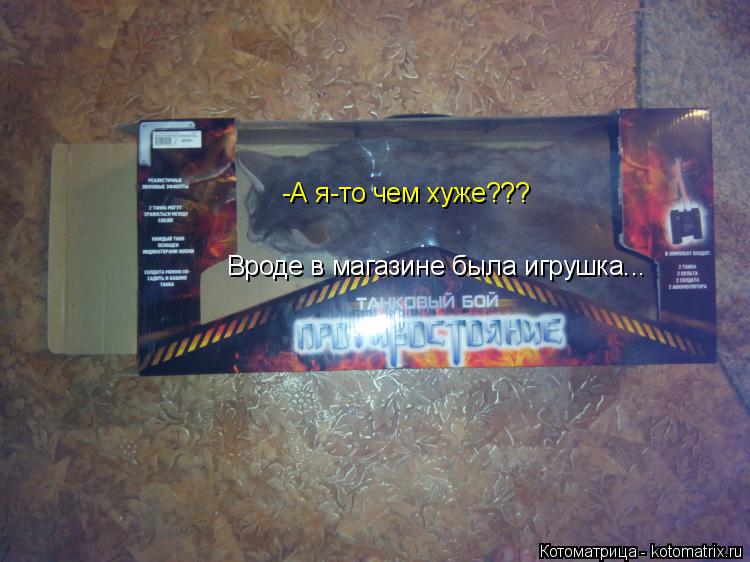 Котоматрица: Вроде в магазине была игрушка... -А я-то чем хуже???