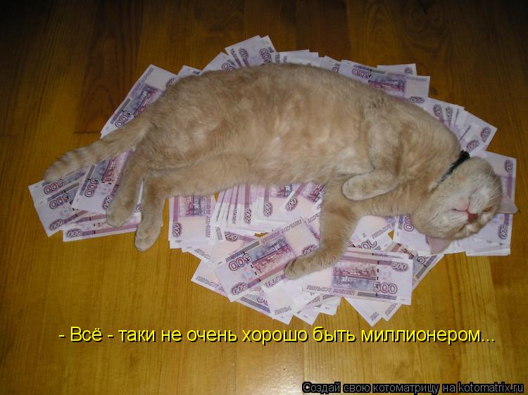 Котоматрица: - Всё - таки не очень хорошо быть миллионером...