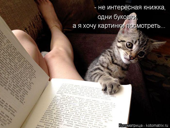 Котоматрица: - не интересная книжка, одни буковки, а я хочу картинки посмотреть...