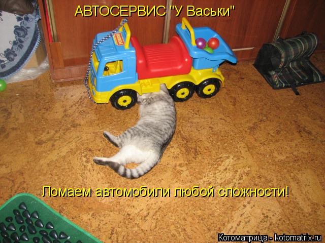 Котоматрица: АВТОСЕРВИС "У Васьки" Ломаем автомобили любой сложности!