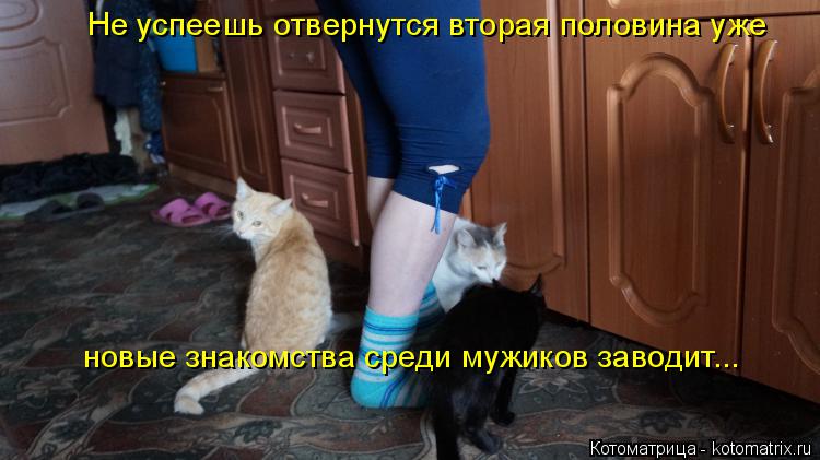 Котоматрица: Не успеешь отвернутся вторая половина уже    новые знакомства среди мужиков заводит...