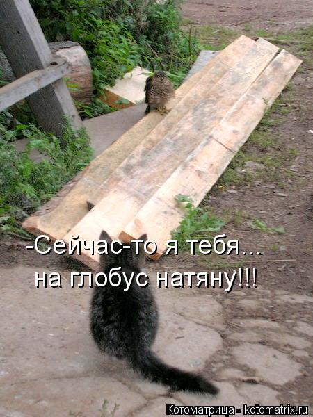Котоматрица: -Сейчас-то я тебя... на глобус натяну!!!
