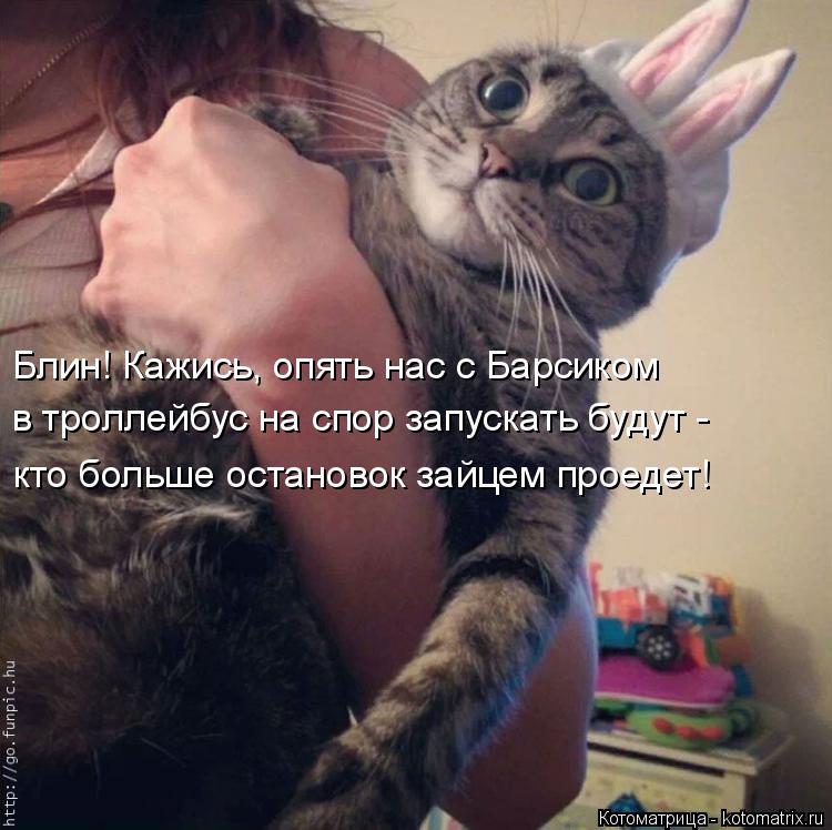 Котоматрица: Блин! Кажись, опять нас с Барсиком  в троллейбус на спор запускать будут - кто больше остановок зайцем проедет!