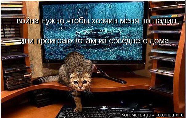 Котоматрица: война нужно чтобы хозяин меня погладил  или проиграю котам из соседнего дома