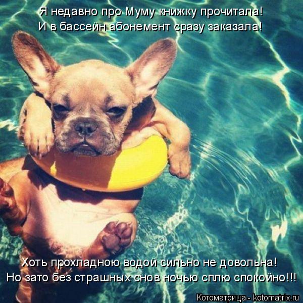Котоматрица: Но зато без страшных снов ночью сплю спокойно!!! Хоть прохладною водой сильно не довольна! Я недавно про Муму книжку прочитала! И в бассейн а
