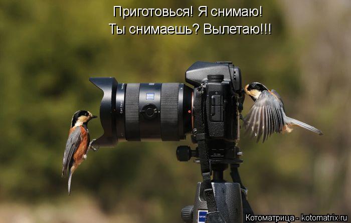 Котоматрица: Приготовься! Я снимаю! Ты снимаешь? Вылетаю!!!