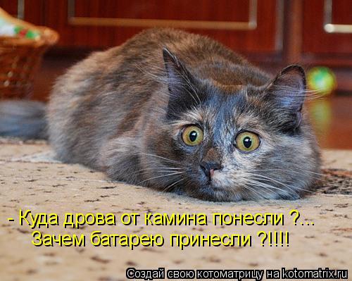 Котоматрица: - Куда дрова от камина понесли ?... Зачем батарею принесли ?!!!!