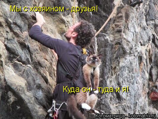 Котоматрица: Мы с хозяином - друзья! Куда он - туда и я!