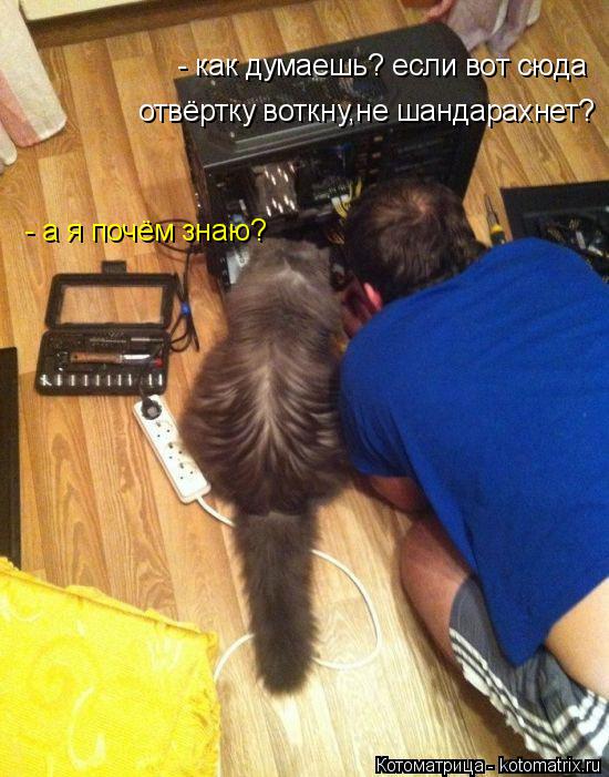 Котоматрица: - как думаешь? если вот сюда  отвёртку воткну,не шандарахнет? - а я почём знаю?