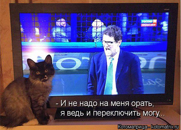 - И не надо на меня орать, я ведь и переключить могу...... Котоматрица: - И не надо на меня орать, я ведь и переключить могу...