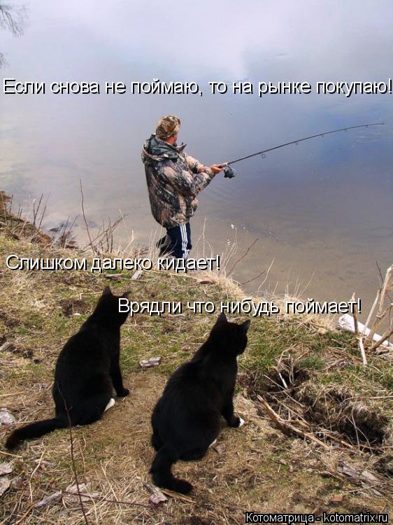 Котоматрица: Слишком далеко кидает! Врядли что нибудь поймает! Если снова не поймаю, то на рынке покупаю!