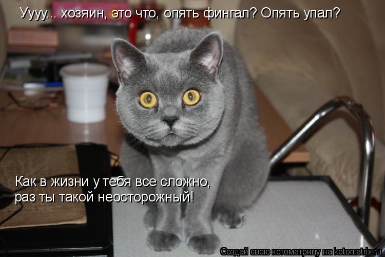 Уууу... хозяин, это что, опять фингал? Опять упал? Как в жизни у тебя все сложно, раз ты такой неосто... Котоматрица: Уууу... хозяин, это что, опять фингал? Опять упал? Как в жизни у тебя все сложно, раз ты такой неосторожный!