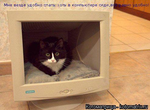Мне везде удобно спать:хоть в компьютере сиди,всё равно удобно!... Котоматрица: Мне везде удобно спать:хоть в компьютере сиди,всё равно удобно!