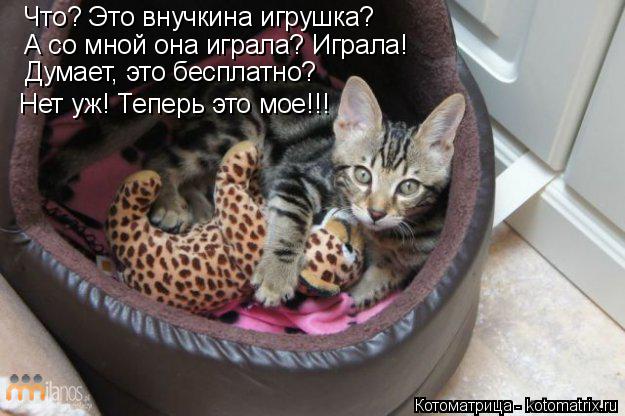 Котоматрица: Что? Это внучкина игрушка? А со мной она играла? Играла! Думает, это бесплатно? Нет уж! Теперь это мое!!!