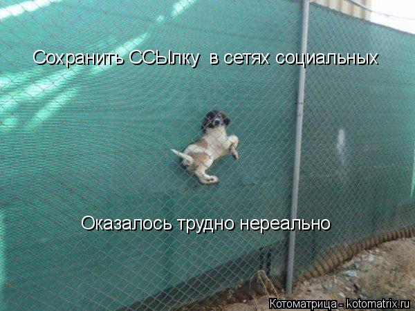 Сохранить ССЫлку в сетях социальных Оказалось трудно нереально... Котоматрица: Сохранить ССЫлку в сетях социальных Оказалось трудно нереально