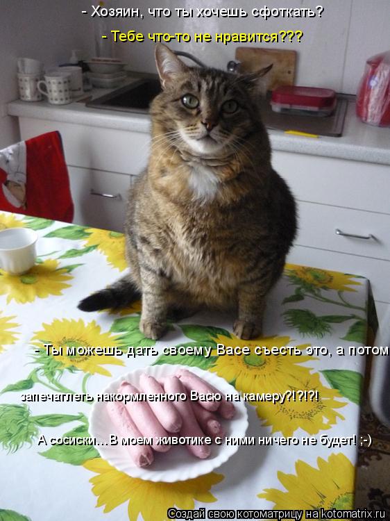 Котоматрица: - Хозяин, что ты хочешь сфоткать? - Тебе что-то не нравится??? - Ты можешь дать своему Васе съесть это, а потом… запечатлеть накормленного Васю 