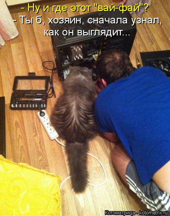 Котоматрица: - Ну и где этот "вай-фай"? - Ты б, хозяин, сначала узнал,  как он выглядит...