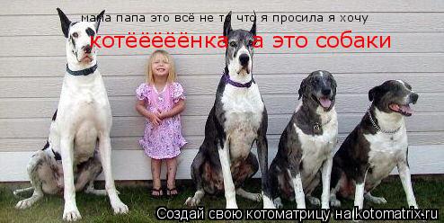 Котоматрица: мама папа это всё не то что я просила я хочу  котёёёёёнка   а это собаки