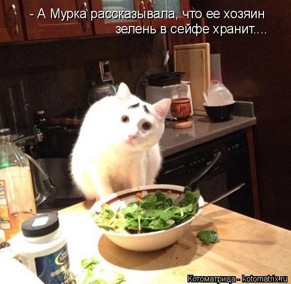 Котоматрица: - А Мурка рассказывала, что ее хозяин зелень в сейфе хранит....