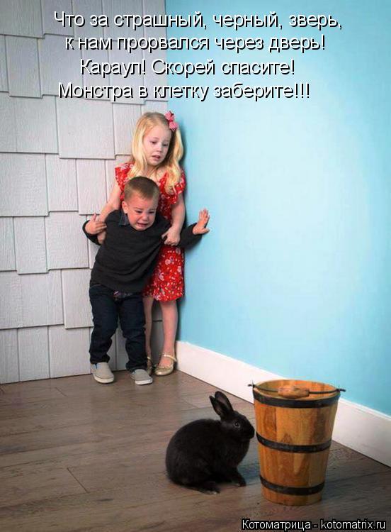 Котоматрица: Что за страшный, черный, зверь, к нам прорвался через дверь! Караул! Скорей спасите! Монстра в клетку заберите!!!