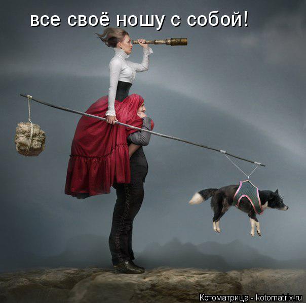 Котоматрица: все своё ношу с собой!