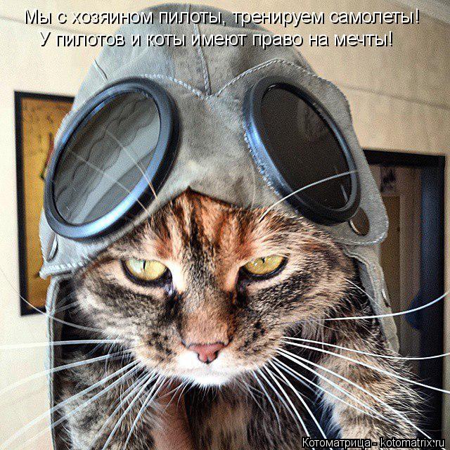 Мы с хозяином пилоты, тренируем самолеты! У пилотов и коты имеют право на мечты!... Котоматрица: Мы с хозяином пилоты, тренируем самолеты! У пилотов и коты имеют право на мечты!