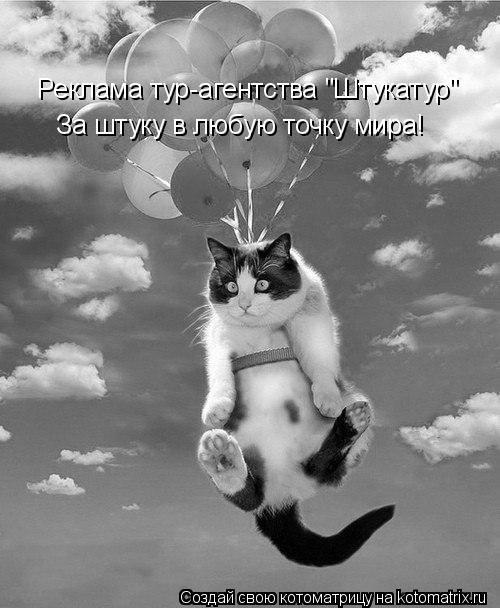 Реклама тур-агентства "Штукатур" За штуку в любую точку мира!... Котоматрица: Реклама тур-агентства "Штукатур" За штуку в любую точку мира!