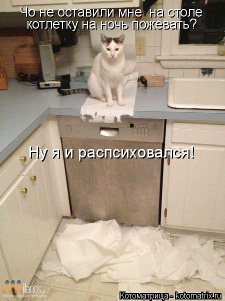 Котоматрица: Чо не оставили мне  на столе  котлетку на ночь пожевать? Ну я и распсиховался!