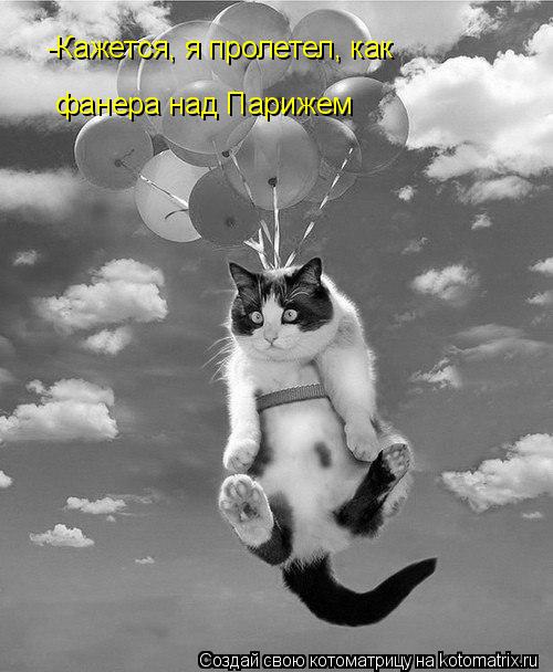Котоматрица: -Кажется, я пролетел, как фанера над Парижем