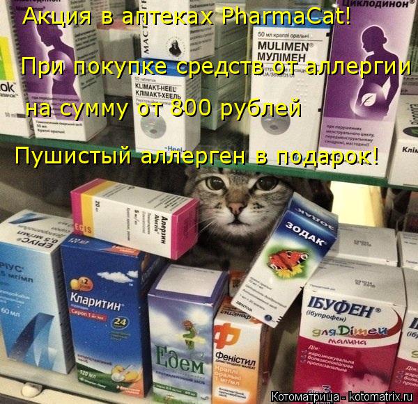 Котоматрица: Акция в аптеках PharmaCat! При покупке средств от аллергии на сумму от 800 рублей Пушистый аллерген в подарок!