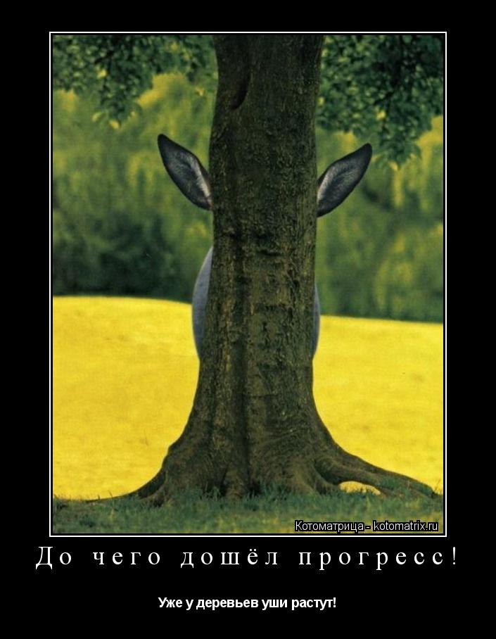 До чего дошёл прогресс! Уже у деревьев уши растут!... Котоматрица: До чего дошёл прогресс! Уже у деревьев уши растут!