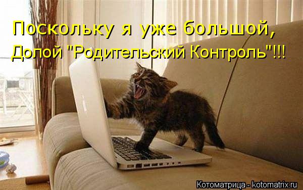 Поскольку я уже большой, Долой "Родительский Контроль"!!!... Котоматрица: Поскольку я уже большой, Долой "Родительский Контроль"!!!