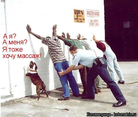 хочу массаж! Я тоже А я? А меня?... Котоматрица: хочу массаж! Я тоже А я? А меня?