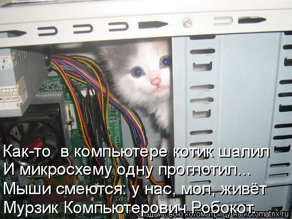 Мурзик Компьютерович Робокот. Мыши смеются: у нас, мол, живёт И микросхему одну проглотил... Как-то ... Котоматрица: Мурзик Компьютерович Робокот. Мыши смеются: у нас, мол, живёт И микросхему одну проглотил... Как-то в компьютере котик шалил