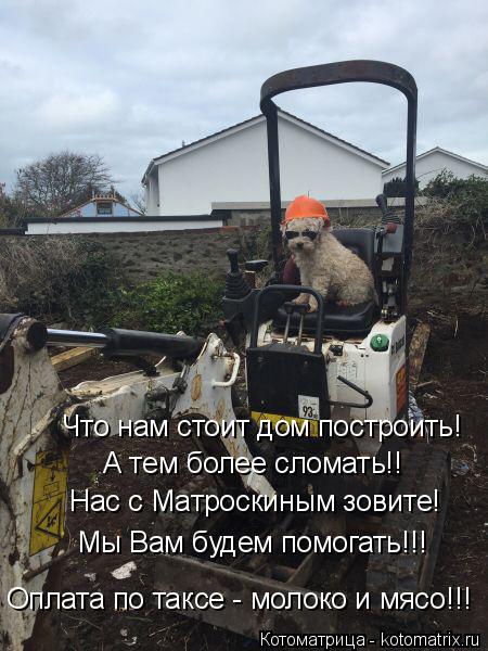 Что нам стоит дом построить! А тем более сломать!! Нас с Матроскиным зовите! Мы Вам будем помогать!!!... Котоматрица: Что нам стоит дом построить! А тем более сломать!! Нас с Матроскиным зовите! Мы Вам будем помогать!!! Оплата по таксе - молоко и мясо!!!