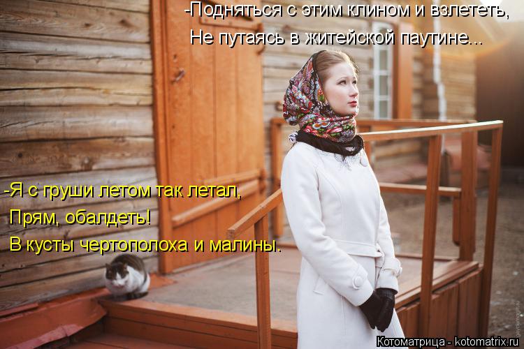 Не путаясь в житейской паутине... -Подняться с этим клином и взлететь, -Я с груши летом так летал, ... Котоматрица: Не путаясь в житейской паутине... -Подняться с этим клином и взлететь, -Я с груши летом так летал, В кусты чертополоха и малины. Прям, обалдет