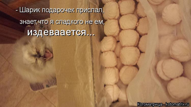- Шарик подарочек прислал, знает,что я сладкого не ем, издеваается...... Котоматрица: - Шарик подарочек прислал, знает,что я сладкого не ем, издеваается...