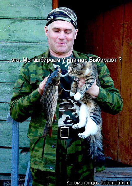 Котоматрица: ...это..Мы выбираем ? или нас Выбирают ?