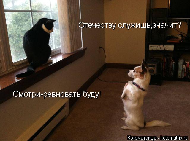 Отечеству служишь,значит? Смотри-ревновать буду!... Котоматрица: Отечеству служишь,значит? Смотри-ревновать буду!