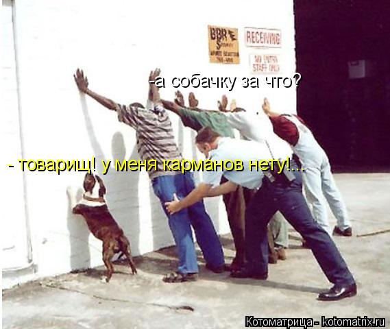 -а собачку за что? - товарищ! у меня карманов нету!...... Котоматрица: -а собачку за что? - товарищ! у меня карманов нету!...