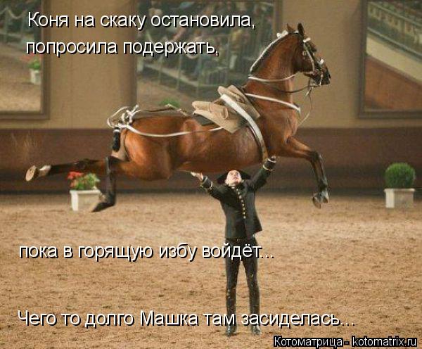Коня на скаку остановила, попросила подержать, пока в горящую избу войдёт... Чего то долго Машка там ... Котоматрица: Коня на скаку остановила, попросила подержать, пока в горящую избу войдёт... Чего то долго Машка там засиделась...